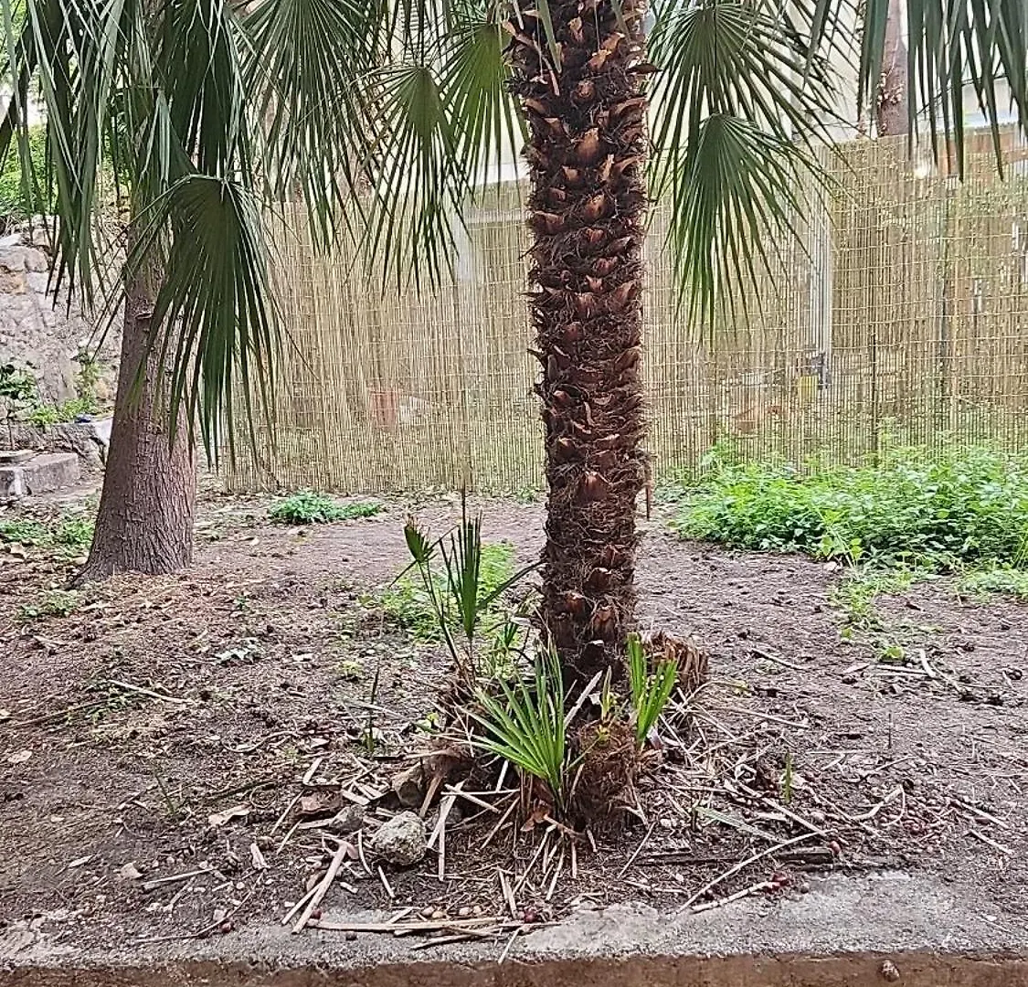 Logement Avec Jardin Gare St Charles Marseille